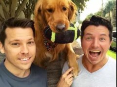 論演技，你恐怕比不上一只狗。。。