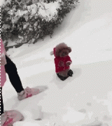 當南方狗到了北方后...笑瘋了！